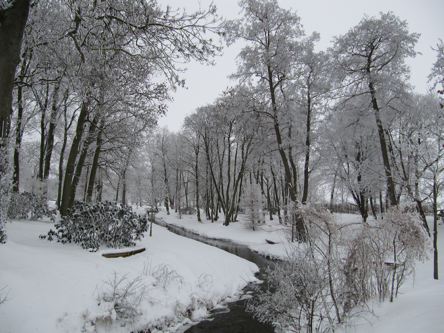 Rügen - Rosengarten - Winter 2010