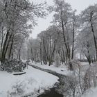 Rügen - Rosengarten - Winter 2010