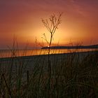 Rügen Sonnenuntergang