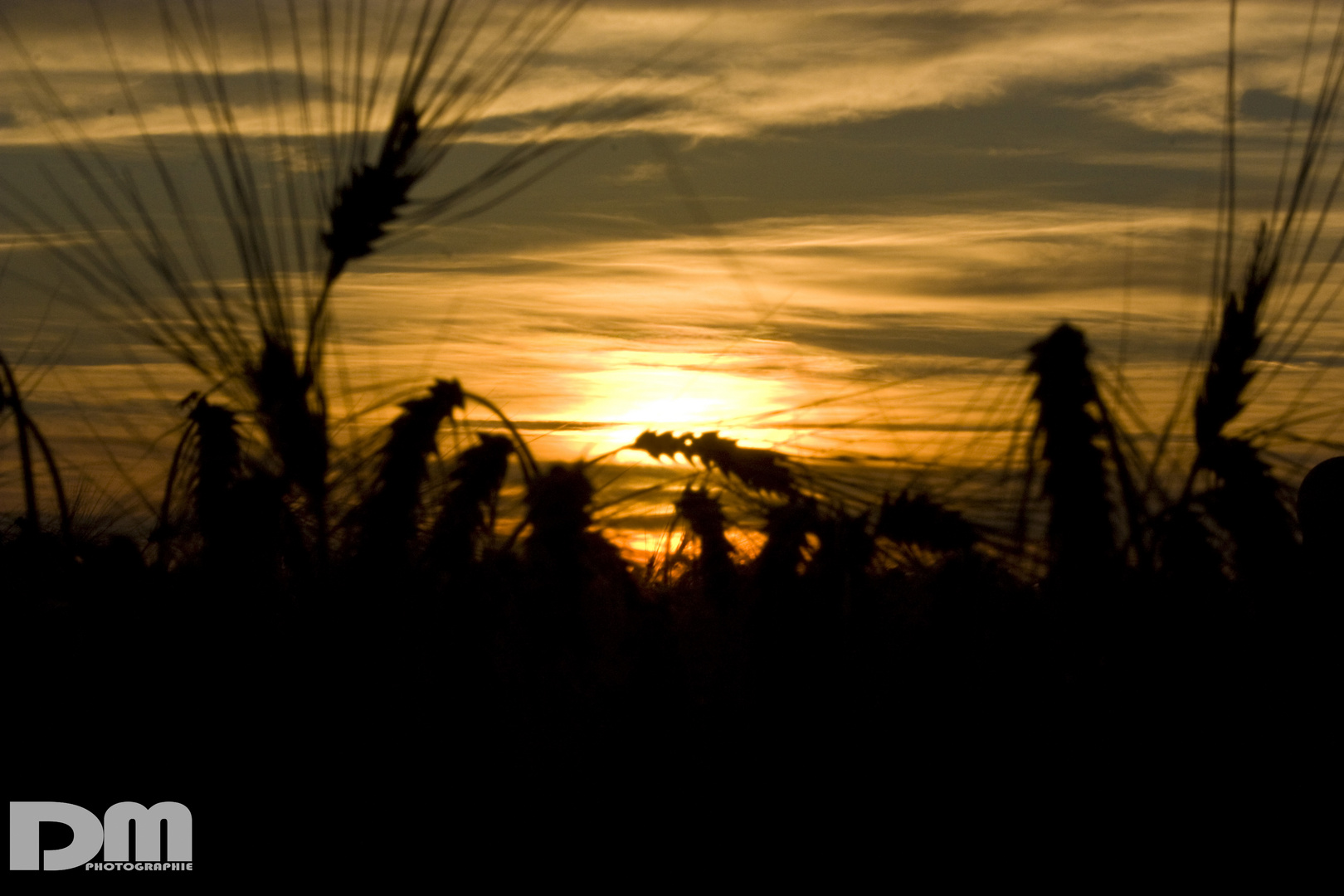 Rügen - Sonnenuntergang