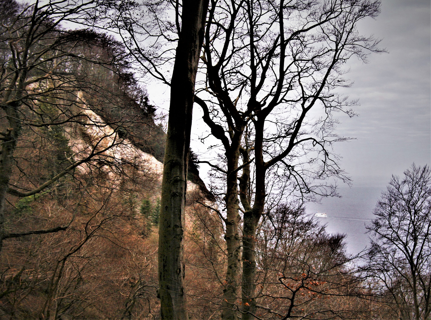 Rügen Stubbenkammer 1