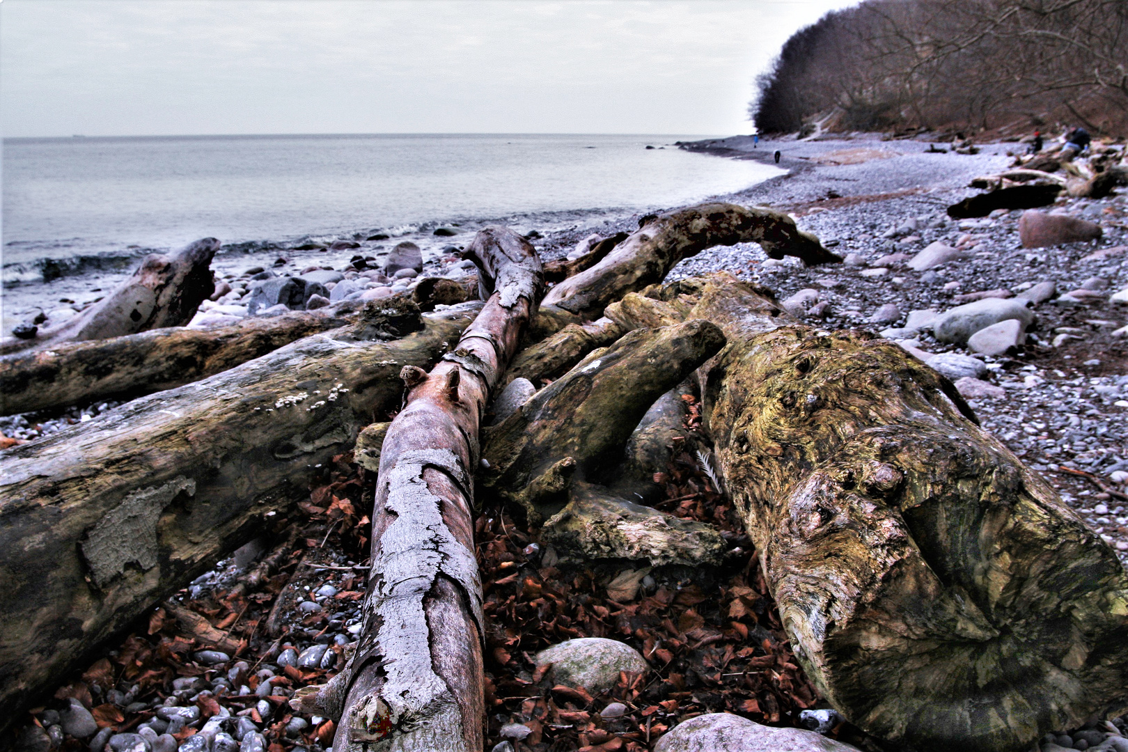 Rügen Stubbenkammer 3