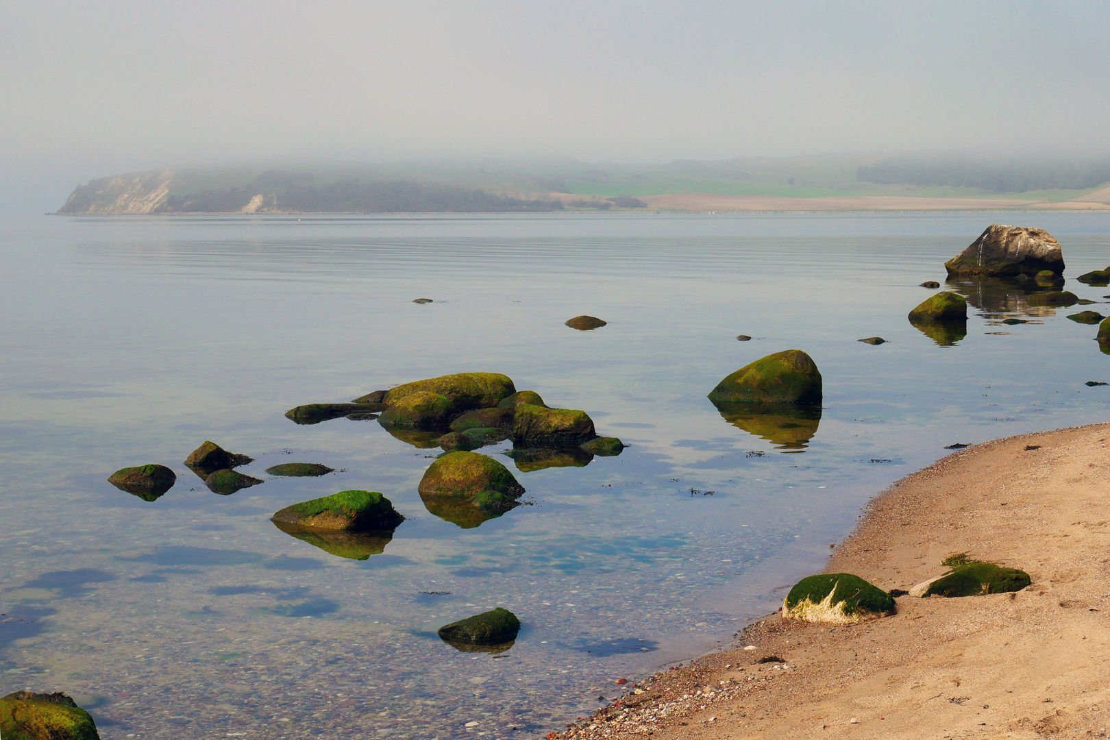 Rügen Südspitze Kleinzicker Morgennebel April