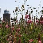 Rügen - Turm am Kap Arkona