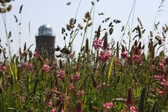 Rügen - Turm am Kap Arkona