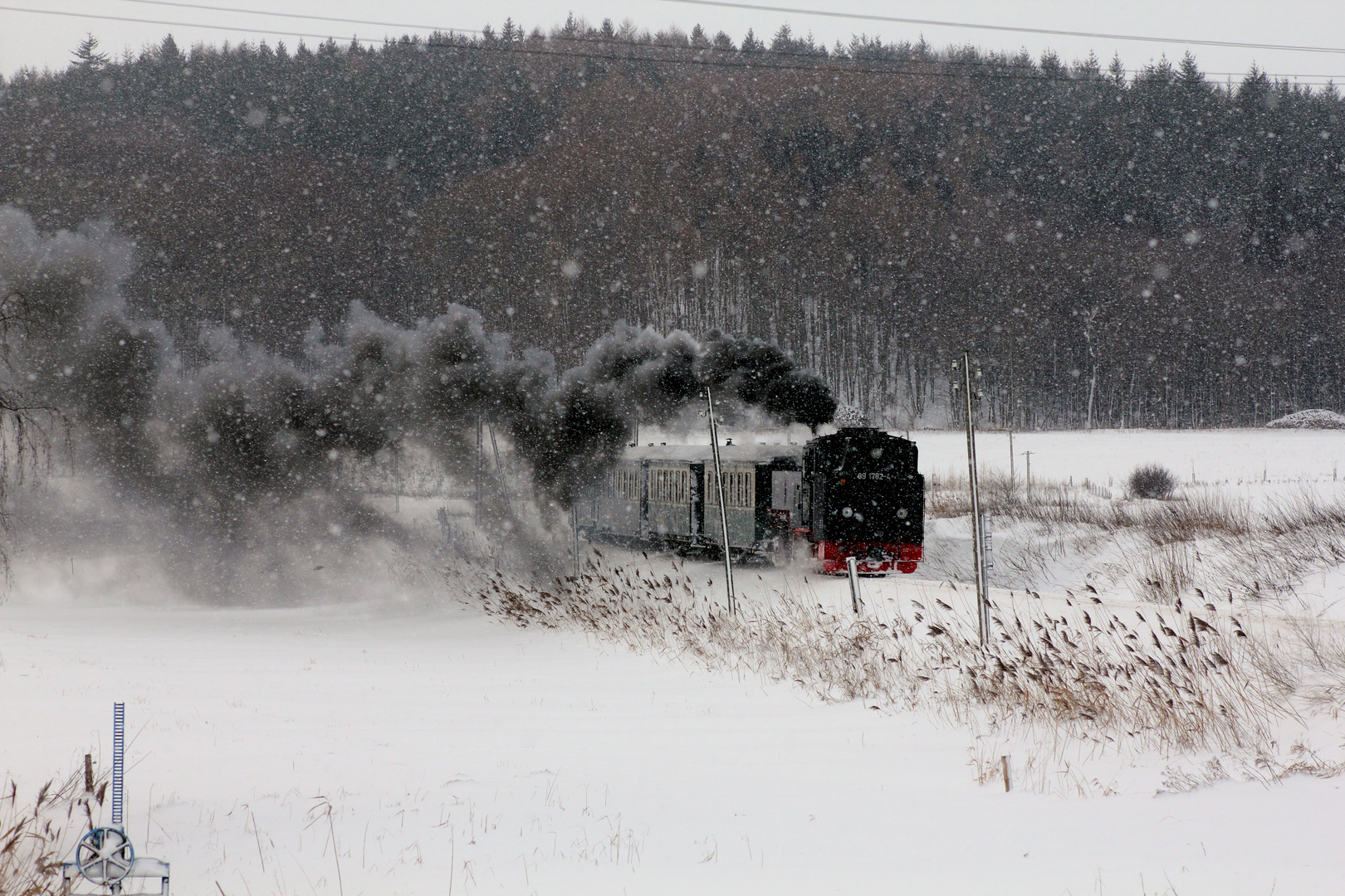 Rügen versinkt im Schnee,aber der "Rasende Roland" fährt!!