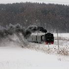 Rügen versinkt im Schnee,aber der "Rasende Roland" fährt!!