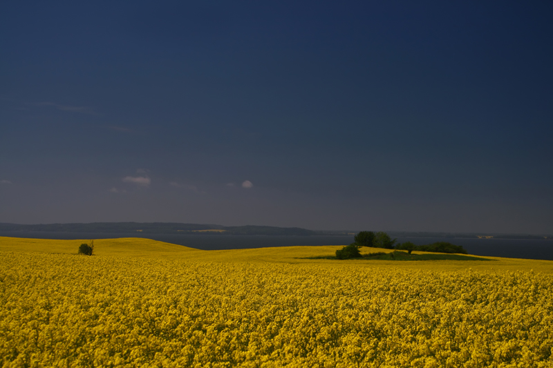 Rügen von seiner schönsten Seite...