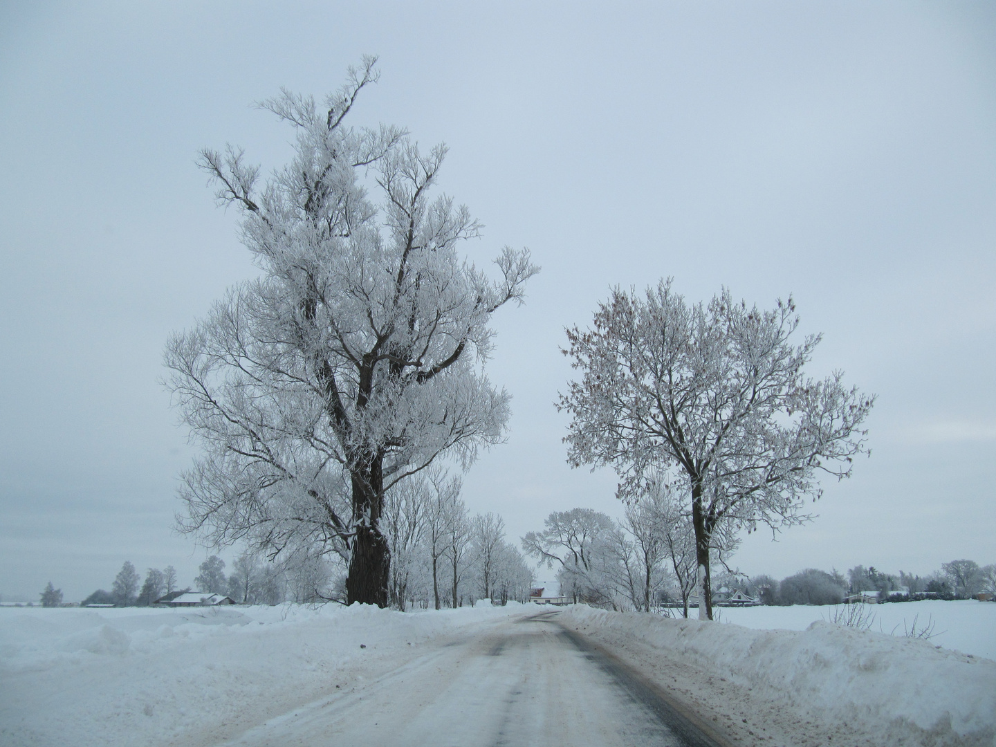 Rügen Zudar Winter 2010