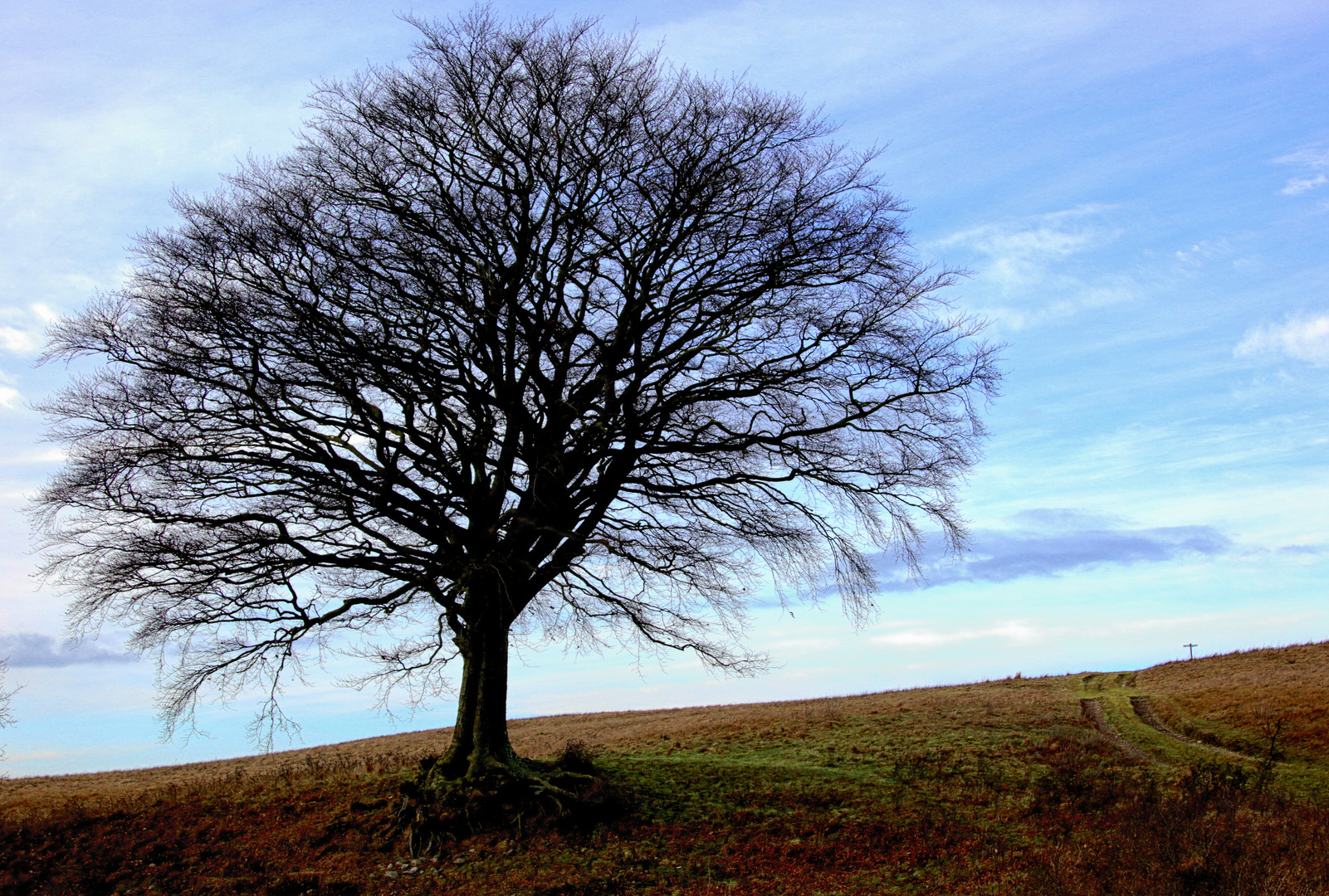 Rügen_5