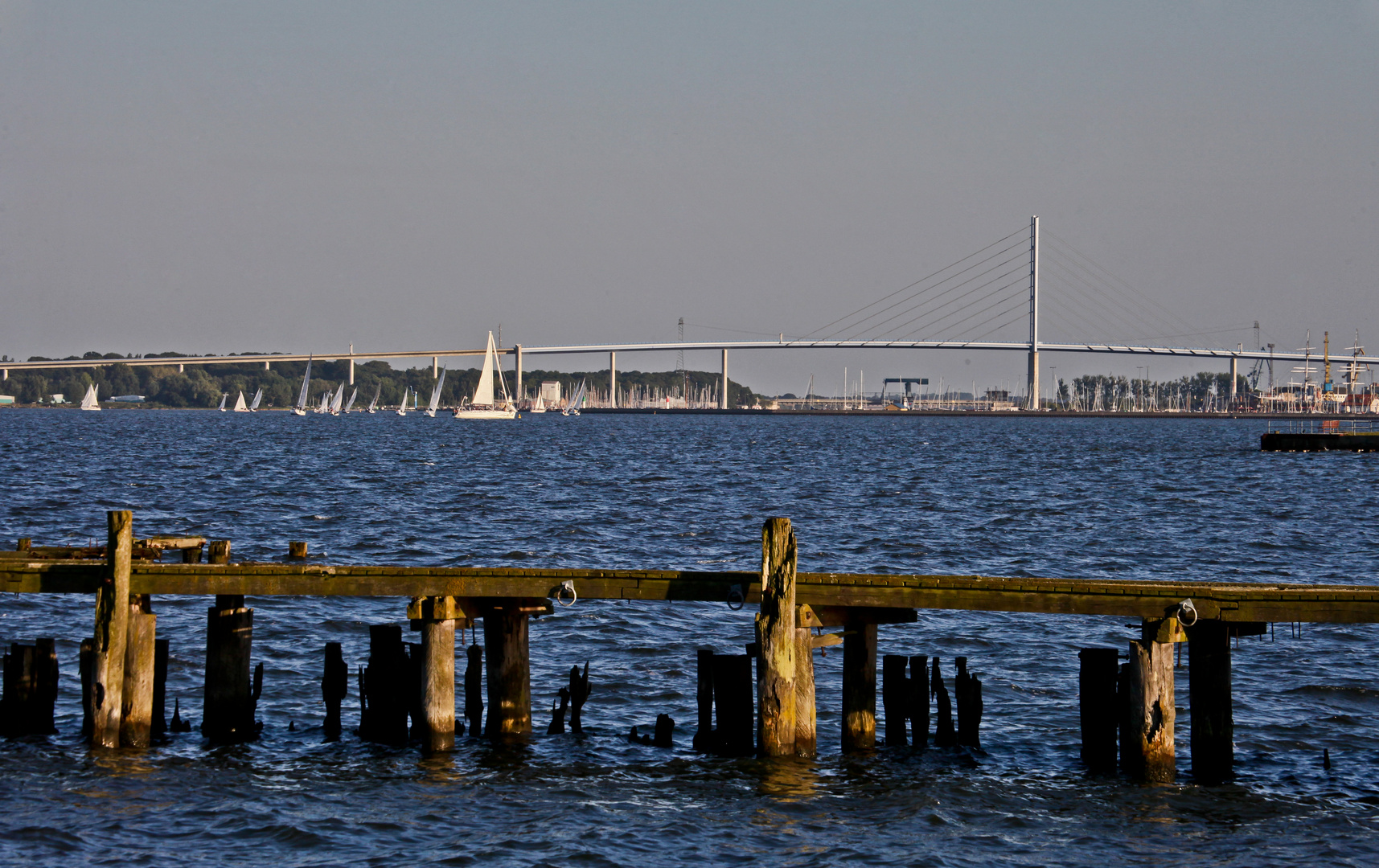 Rügenbrücke