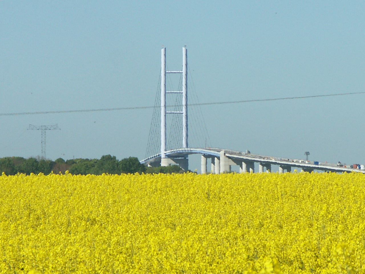 Rügenbrücke im Mai