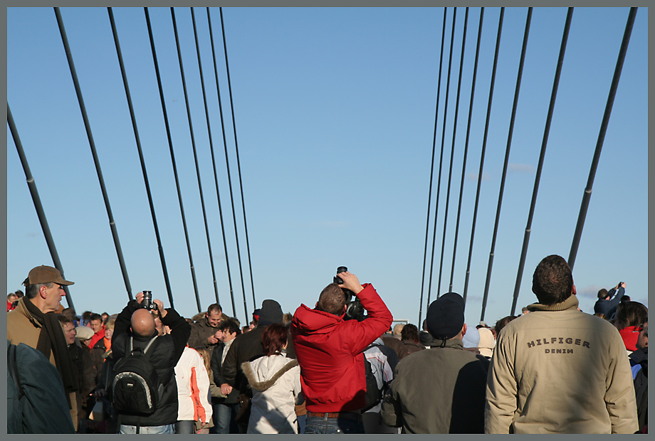 Rügendammbrücke (7)