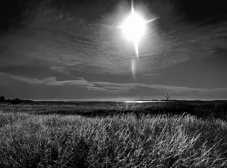 Rügener Boddenlandschaft...