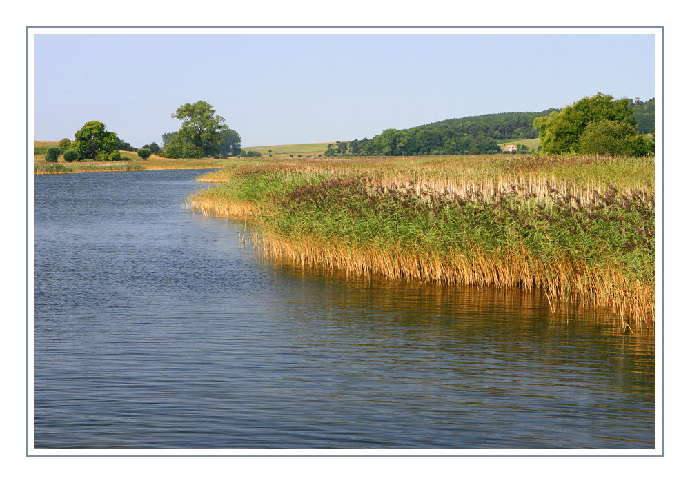 Rügener Landschaft #3