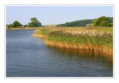 Rügener Landschaft #3