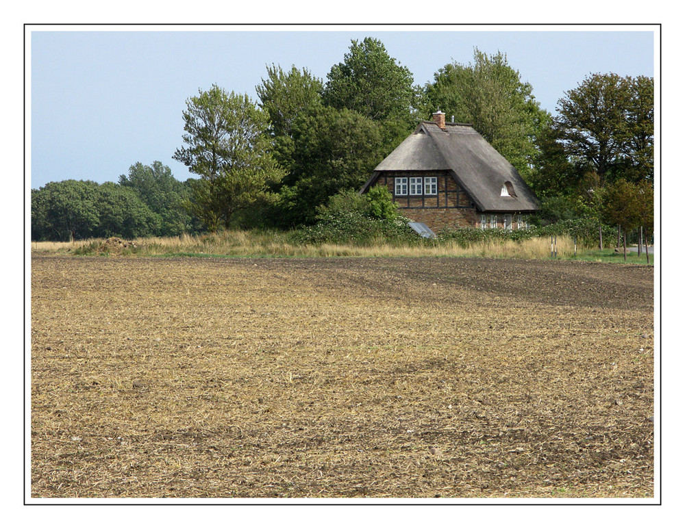 Rügener Landschaft #6