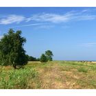 Rügener Landschaft