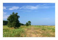 Rügener Landschaft