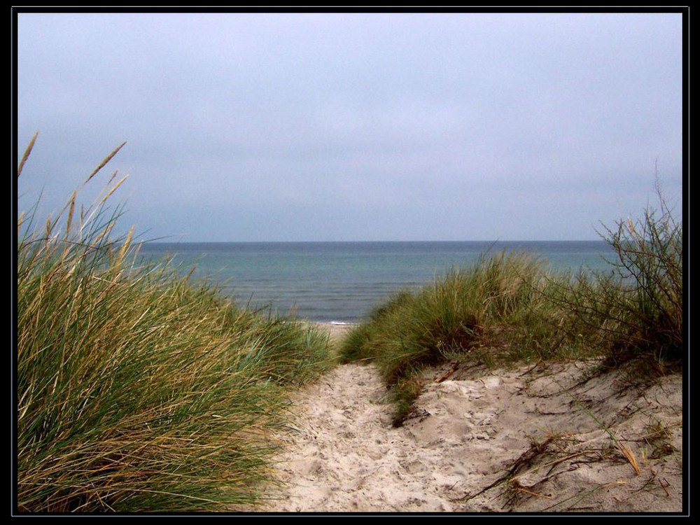 Rügener Strand-Impression