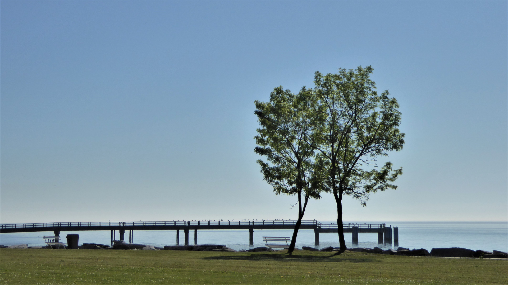 Rügen/Sassnitz