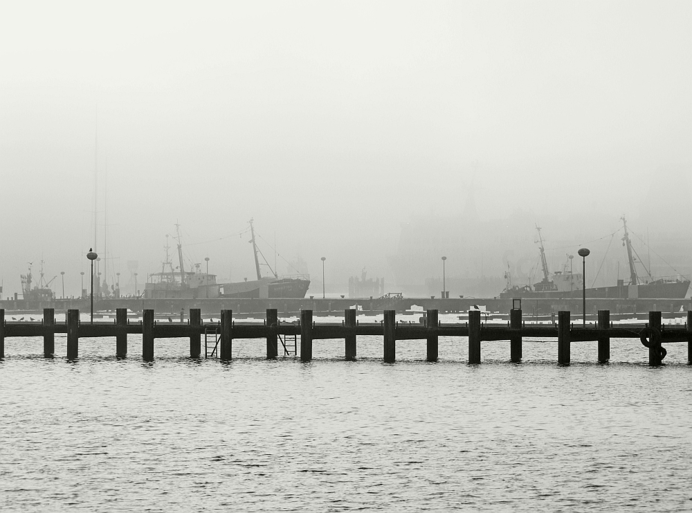 [Rügen/Sassnitz/Nebel I]