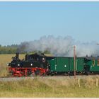 Rügensche Bäder Bahn Montag 14. Oktober 2013 10:54Uhr