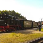 Rügensche BäderBahn "Rasender Roland"