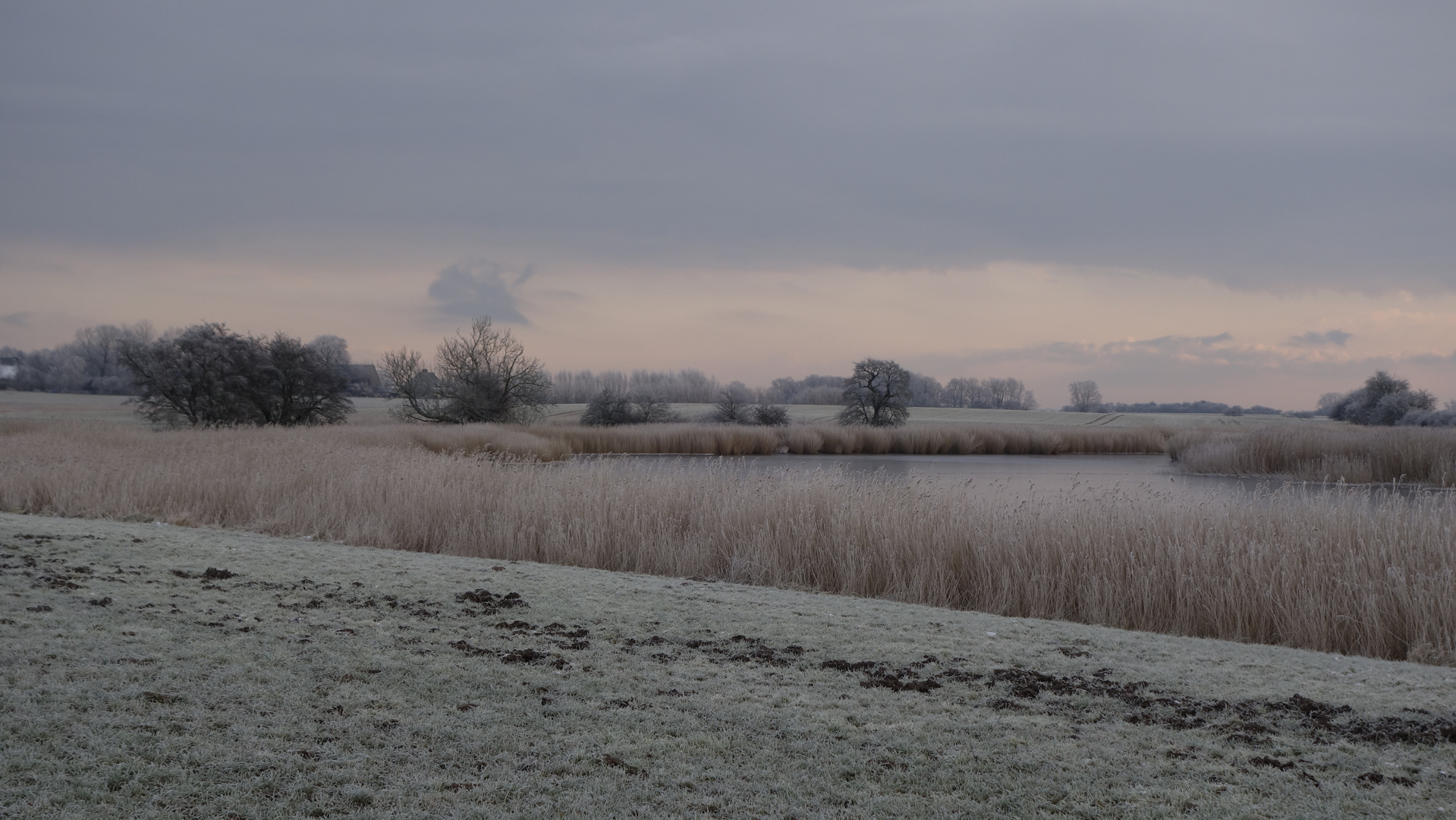 Rügen,Schoritzer Wiek,Wintermorgen