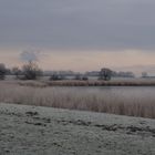 Rügen,Schoritzer Wiek,Wintermorgen