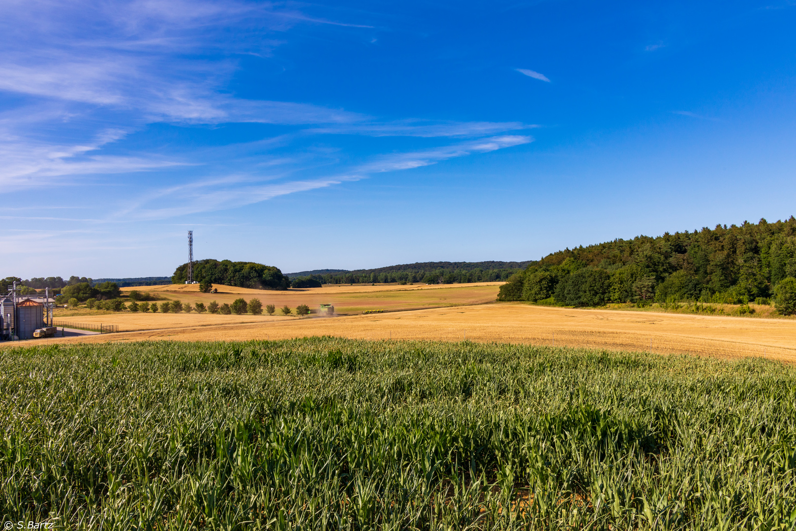 Rügensommer (1)