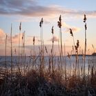 Rügischer Bodden