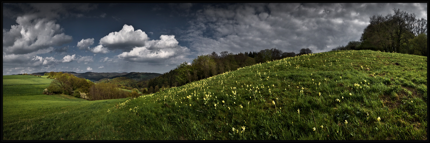 Rühler Schweiz