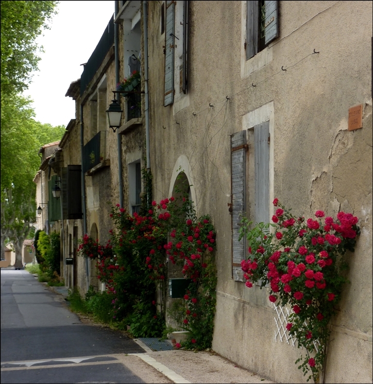 Ruelle à Cucuron (84)