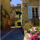 Ruelle à Valensole