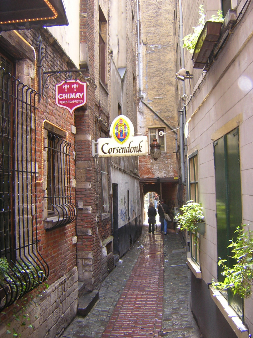 Ruelle de Bruxelles