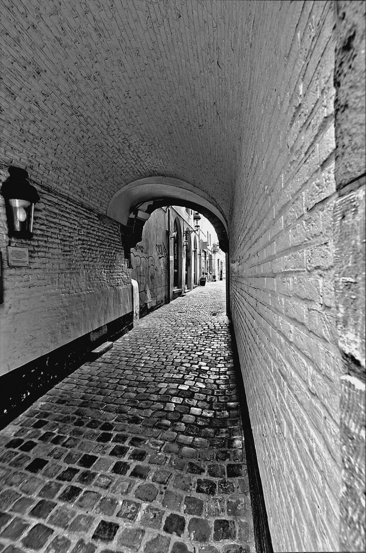 Ruelle de Bruxelles