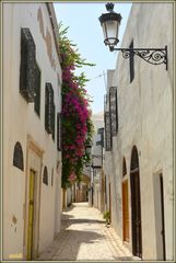 ruelle de la Médina