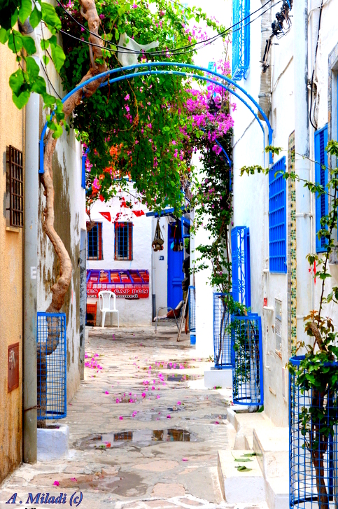 Ruelle de la Médina de Hamamet