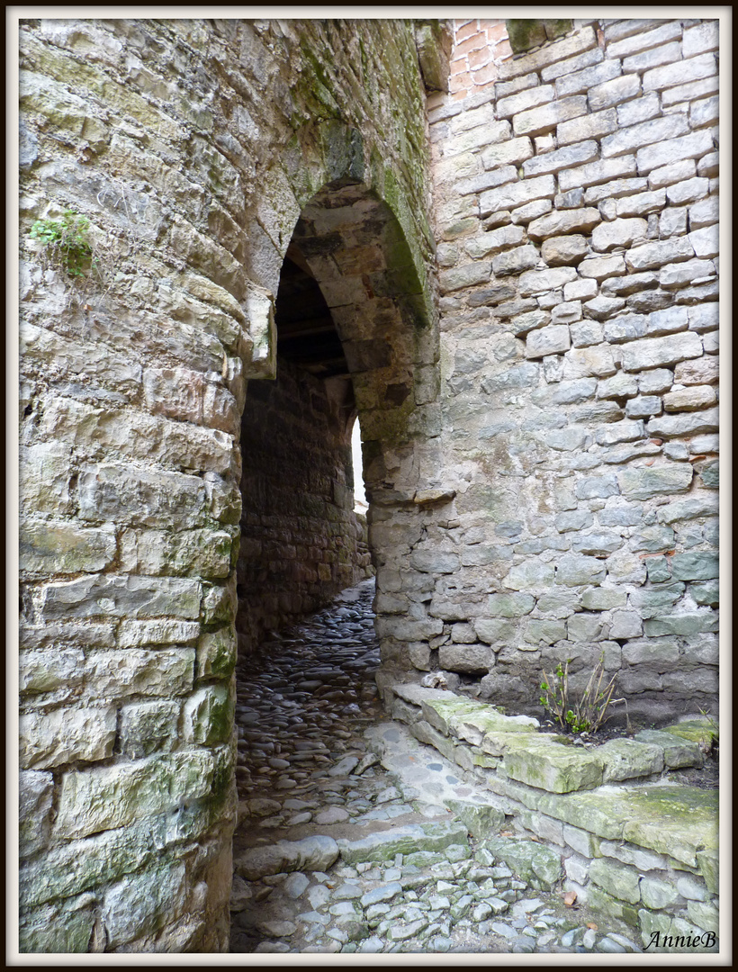 Ruelle de Saint Antonin Noble-Val