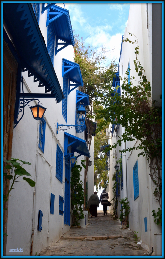 Ruelle de sidi Bou Said