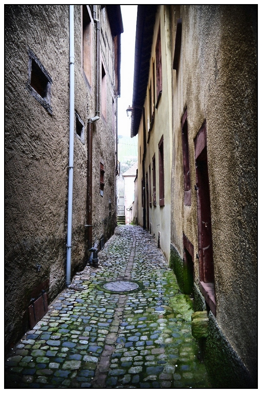 Ruelle humide