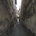 RUELLE POLINOISE