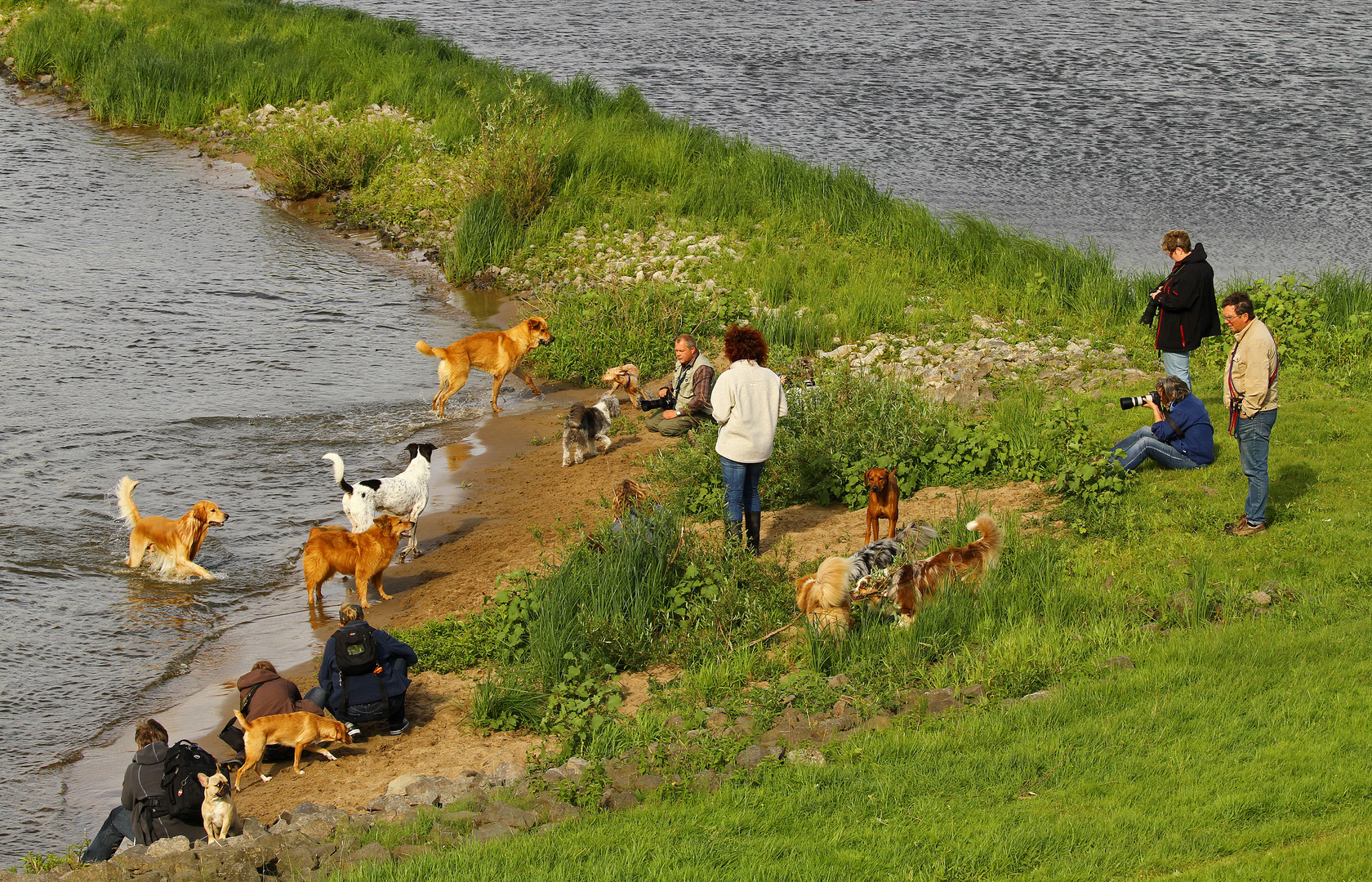 * Rümpelparty an und in der Elbe *