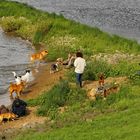 * Rümpelparty an und in der Elbe *