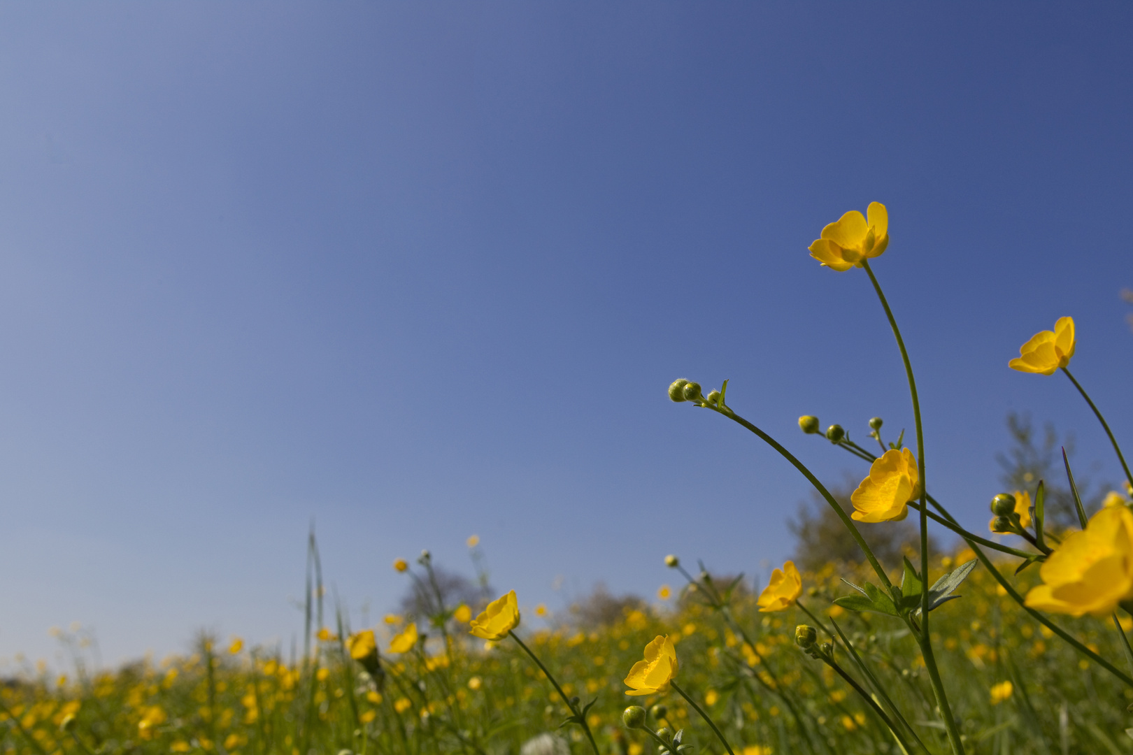 Rünenberg im Frühling