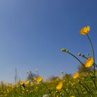 Rünenberg im Frühling