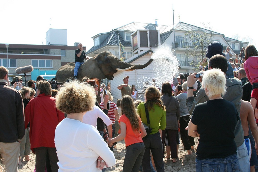 Rüsseldusche vom Elefanten - beim Anbaden in Niendorf/Ostsee