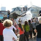 Rüsseldusche vom Elefanten - beim Anbaden in Niendorf/Ostsee