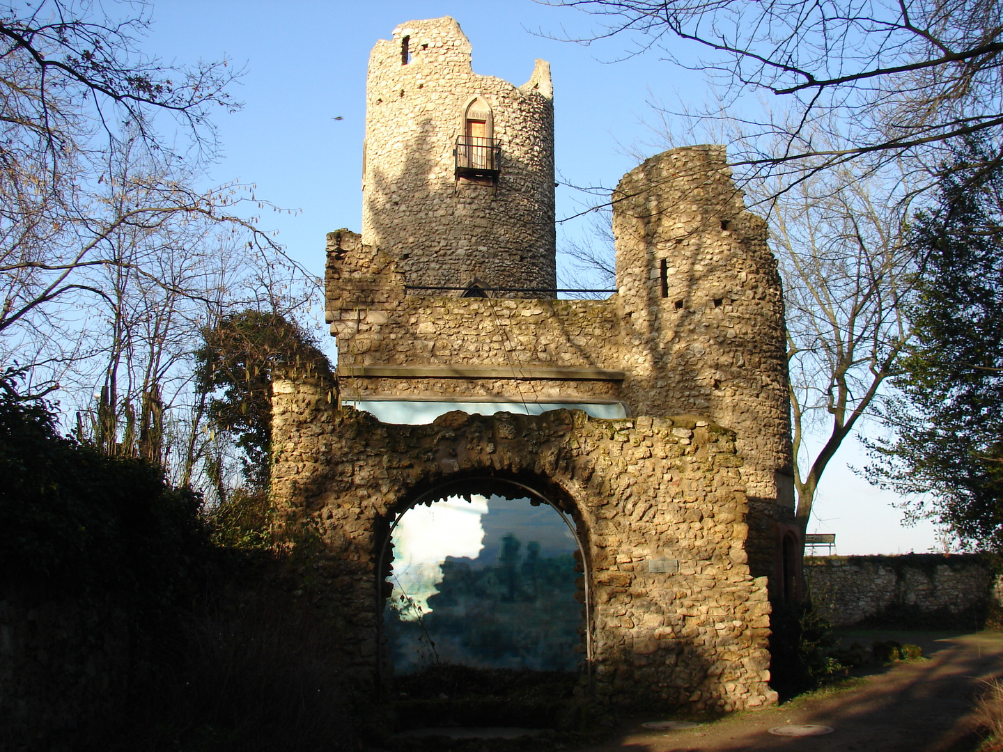 Rüsselsheim, Burg